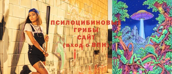 2c-b Армянск