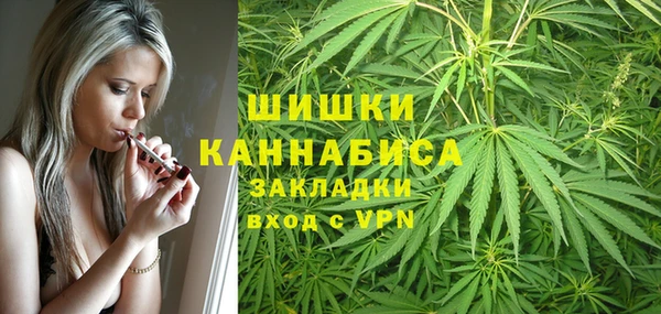 кокс Арсеньев